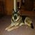 Ida Lindsey's profile image