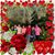Blanca Escamilla's profile image