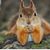 Tim Lemos's profile image