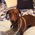 Pamela Sue Allison's profile image