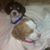 Lucy Red's profile image