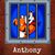 Anthony De's profile image