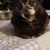 Kimberly Allison's profile image