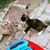Mireya Sanchez's profile image