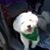 Brian Shuster's profile image
