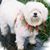 Merry Beth Crawford's profile image