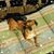 Candice Barefoot McLamb's profile image