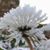 Heri Saptono's profile image