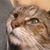 Lynn Lee's profile image