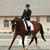 Shelley Laurich's profile image
