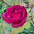 Virginia Haunz Phillips's profile image