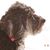 Kelley Fannin Shea's profile image