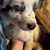 Linda Dunn's profile image