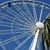Angela Bruzzese Boyce's profile image