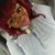 Denise Klarity's profile image