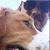 Mike Knouff's profile image