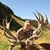 Warren E. Hodgdon's profile image