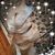 Cathy Kroger's profile image