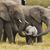 LaDonna Morris's profile image