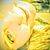 Beth Housley's profile image