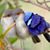 Kerry K DeYoung's profile image