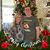 Mindi Clements Wolf's profile image