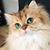 RachelAnn Tetera Harb's profile image