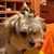 Paul LaBarbera's profile image