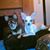 Cathy Megee Harned's profile image