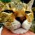 Stephen Sansbury's profile image