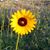 Dayna Archuleta's profile image