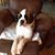 Wendy Tully Olby's profile image