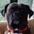 Dave Hughes's profile image