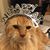 Christina McClure's profile image