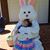 Lisa Whidden Brady's profile image