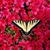Sue Scott Marion's profile image