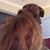 Sherry Rosen's profile image