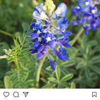 Kimberly Duffy's profile image