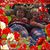 Lori Helvie-Bouwsma's profile image