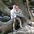 Diane Duvall Guiser's profile image