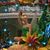 Nanette Eubanks's profile image