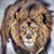 Luis F Marin's profile image