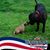 Sherry McInnis Rogers's profile image