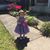 Alice Jones's profile image