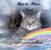 Beth Susan Goldstein-Locascio's profile image