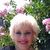 Phyllis Mulford's profile image