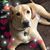 Sonia Gay Buterbaugh's profile image