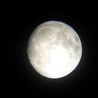 Amanda Miller's profile image