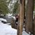 Teena Pillon's profile image