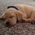 Larry M. Terrones's profile image
